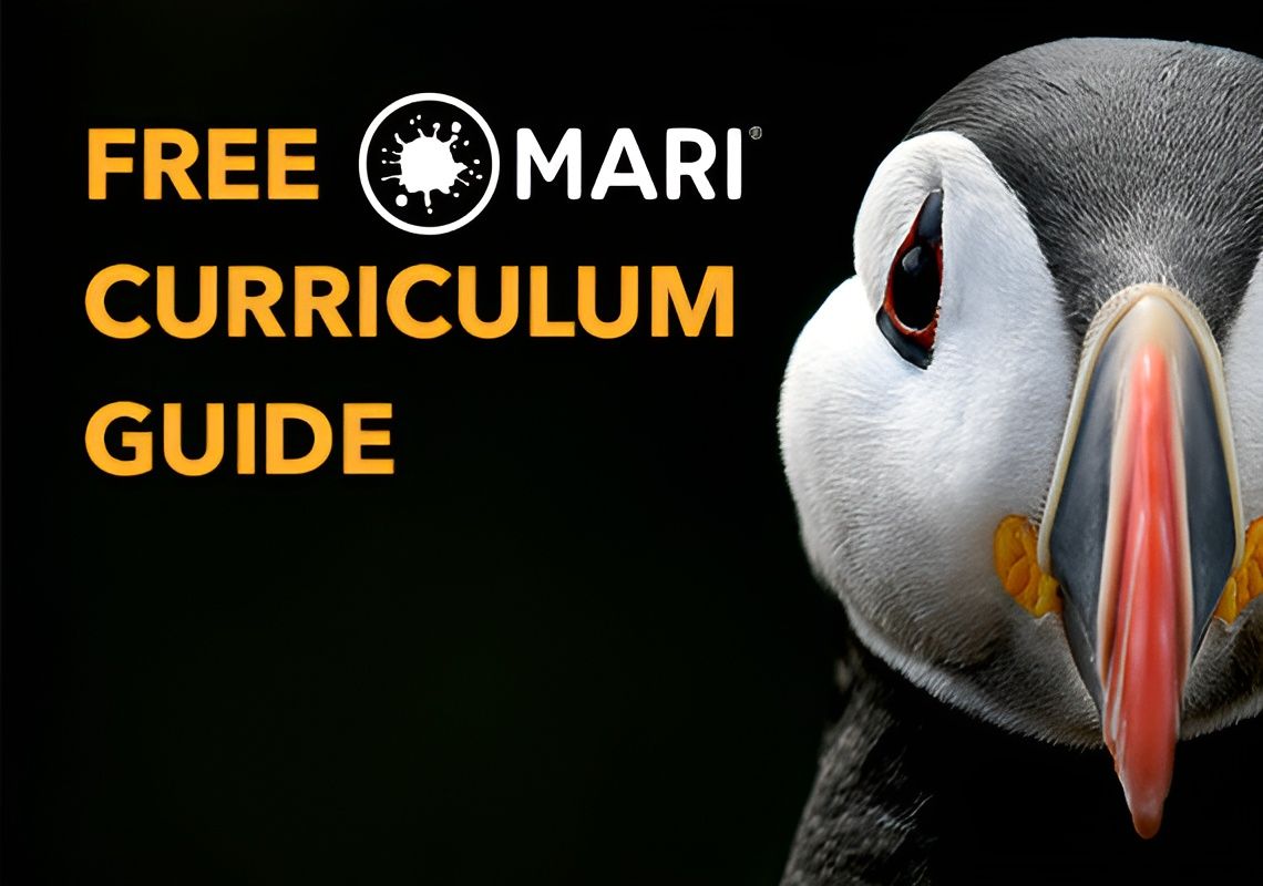 The new Mari Curriculum has Landed