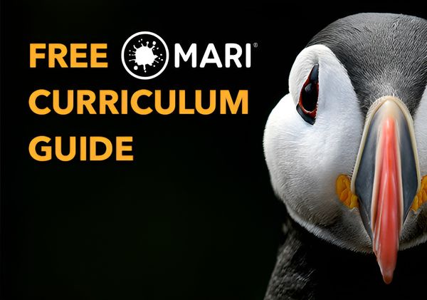 The new Mari Curriculum has Landed